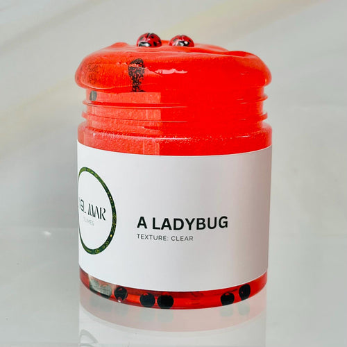 A Ladybug